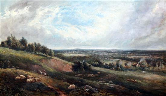 S. Watts (19th C.) Sheep on the downs 24 x 42in.